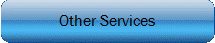 Other Services